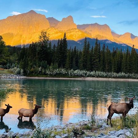 Unit #201 Cozy Mountain View 1Br In Dt Apartman Canmore Kültér fotó